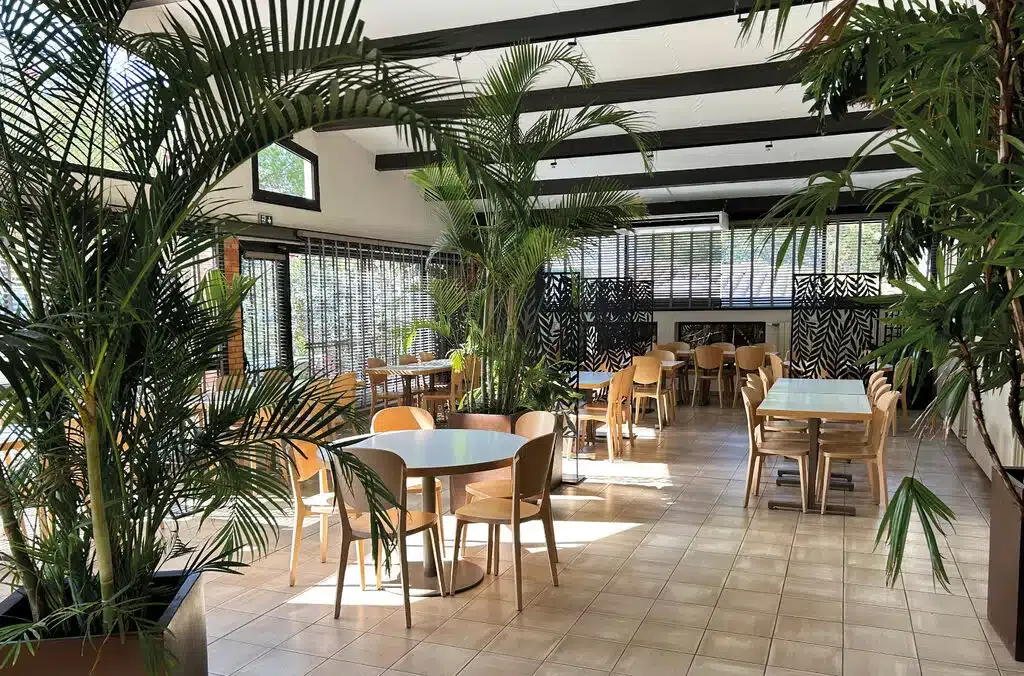 Salle de restauration lumineuse avec tables et plantes à la Réserve Africaine de Sigean.